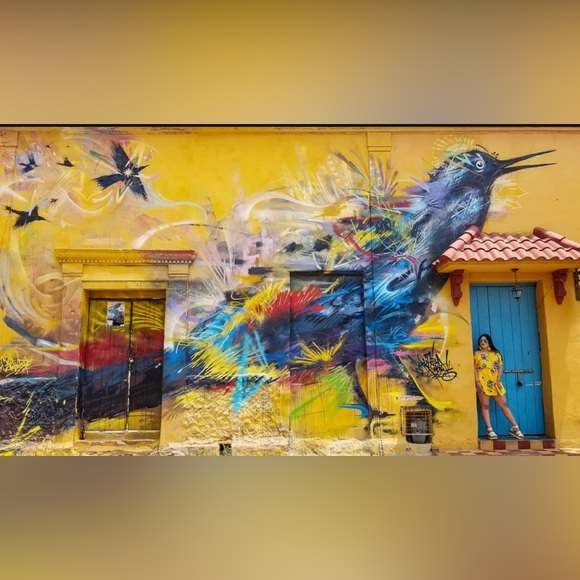 Floral Mini Dress/Top - Picture 4 of 4